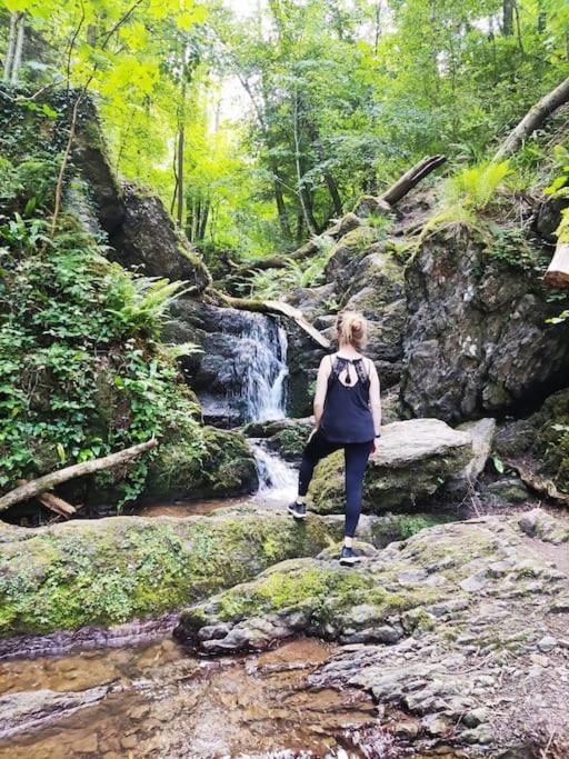 Villa Au Jardin D'Eden Hastiere-par-dela Esterno foto